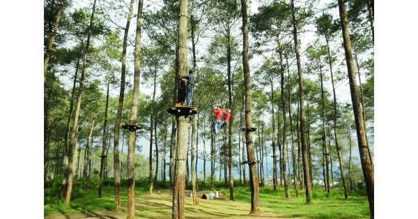 Treetop Adventure Park Tempat Wisata Outbound di Bandung